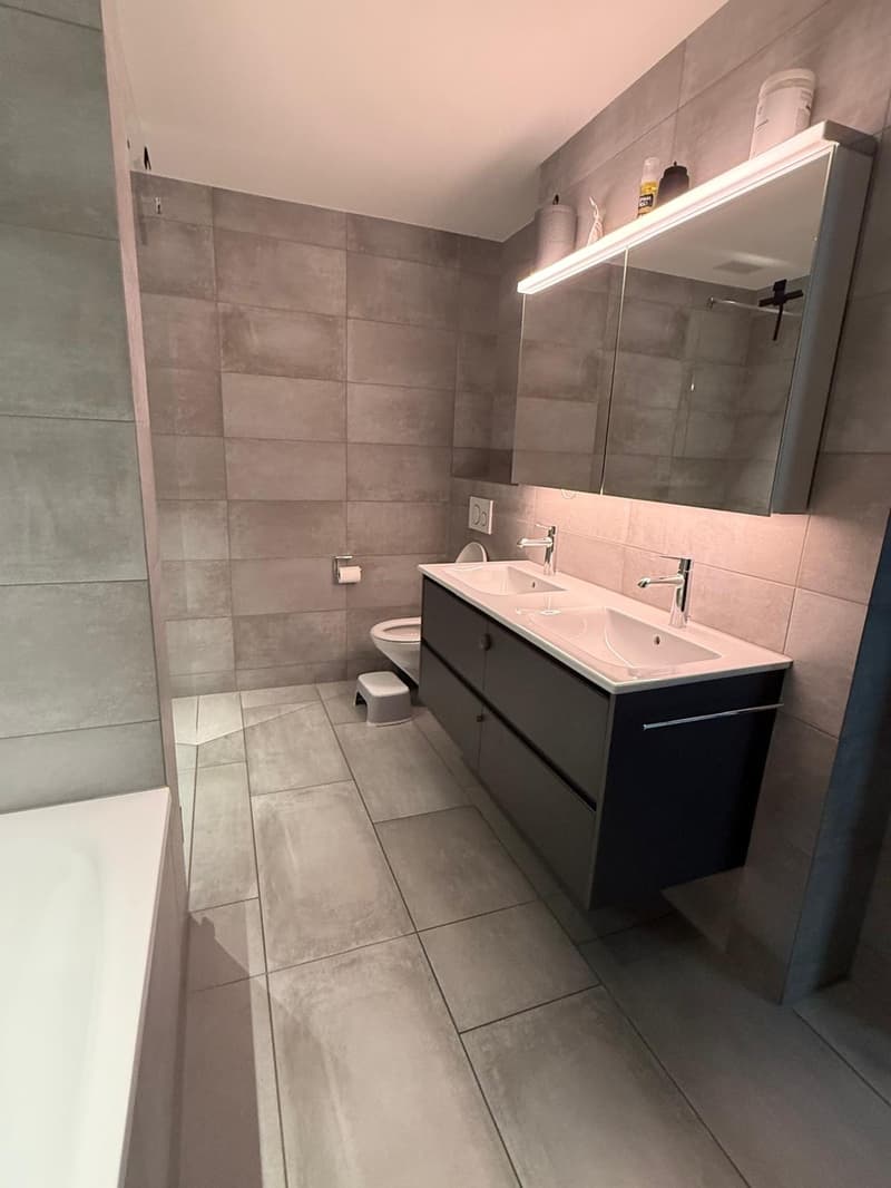 Corner flat with unobstructed lake view and large outdoor space (12)