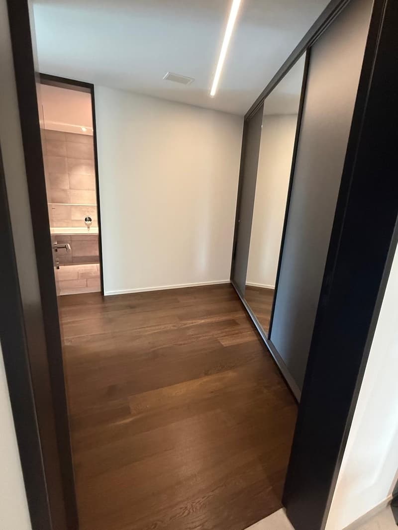 Corner flat with unobstructed lake view and large outdoor space (11)