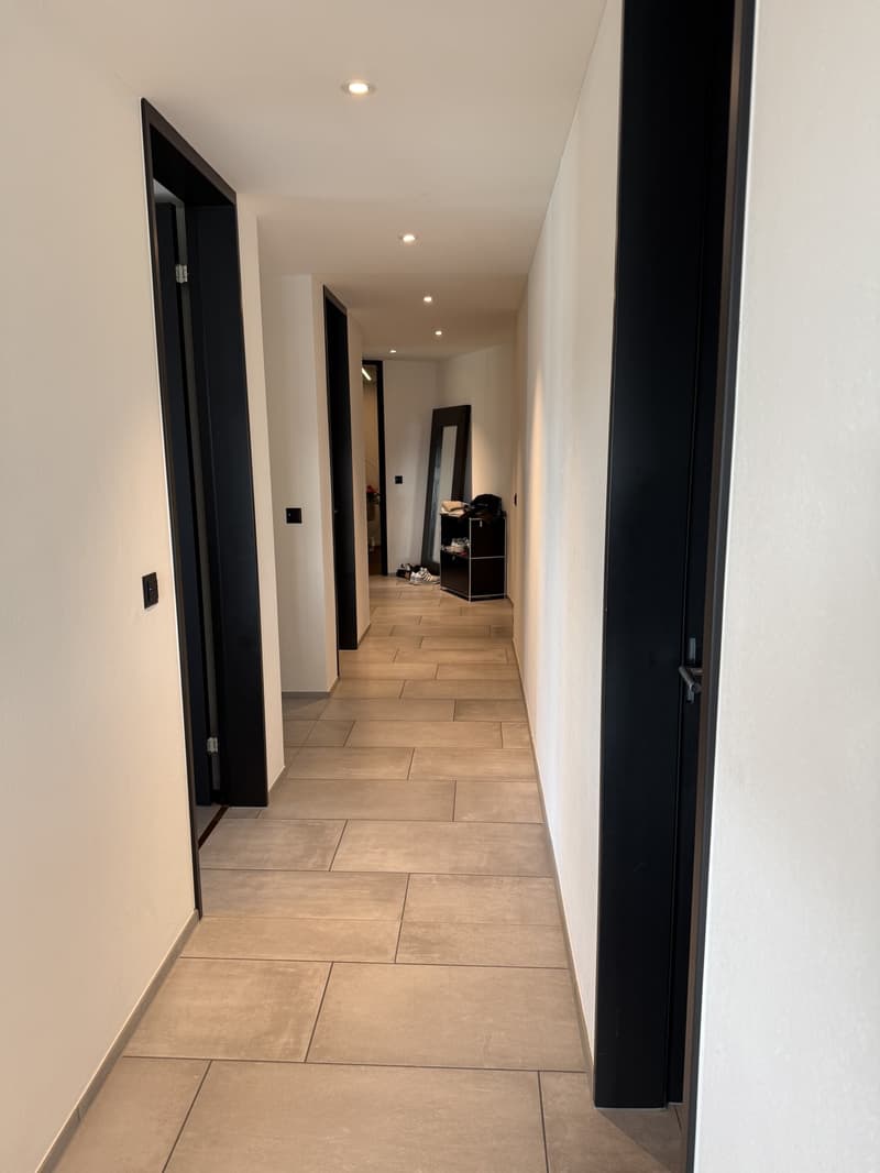 Corner flat with unobstructed lake view and large outdoor space (7)