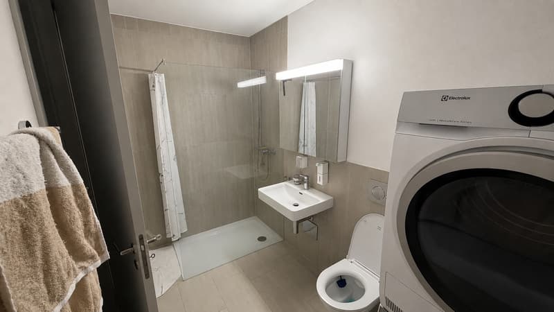 Helle 2,5 Zimmerwohnung (3)