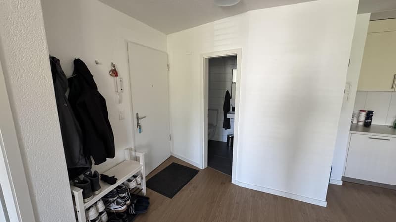 2.5-Zimmer-Wohnung in Solothurn mit zentraler Lage - Nachmieter gesucht (7)