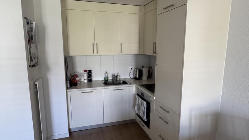 2.5-Zimmer-Wohnung in Solothurn mit zentraler Lage - Nachmieter gesucht (3)