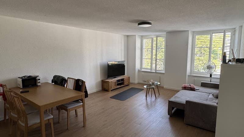 2.5-Zimmer-Wohnung in Solothurn mit zentraler Lage - Nachmieter gesucht (8)