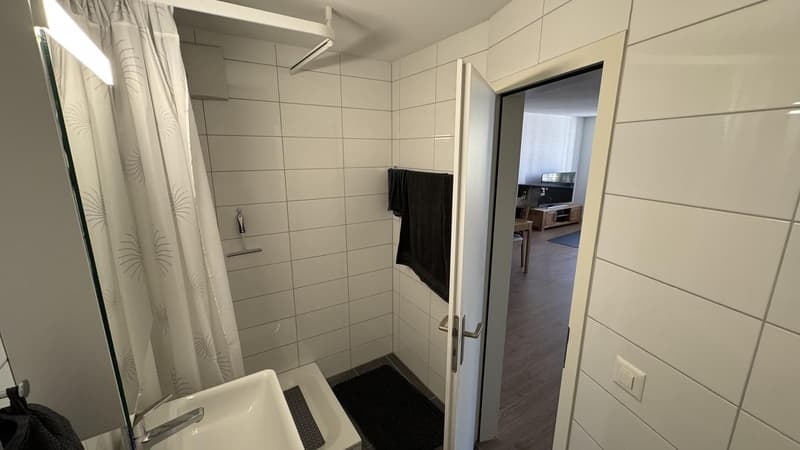 2.5-Zimmer-Wohnung in Solothurn mit zentraler Lage - Nachmieter gesucht (5)