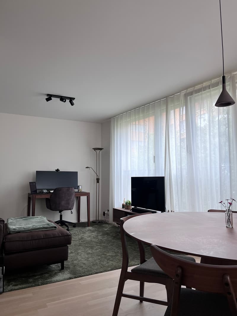 Moderne Wohnung im Zentrum von Uster (4)
