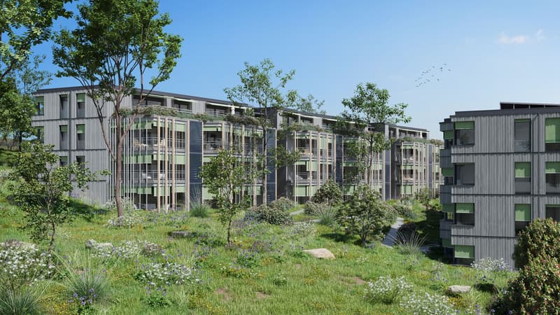 Nachmieter gesucht für Erstbezug 2027 Hochwertige 4.5-Zimmer-Wohnung (4)
