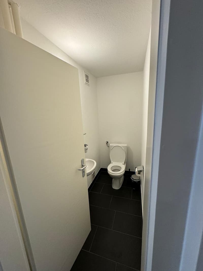 Fully furnished room in Basel city centre with all bills included + cleaning (5)