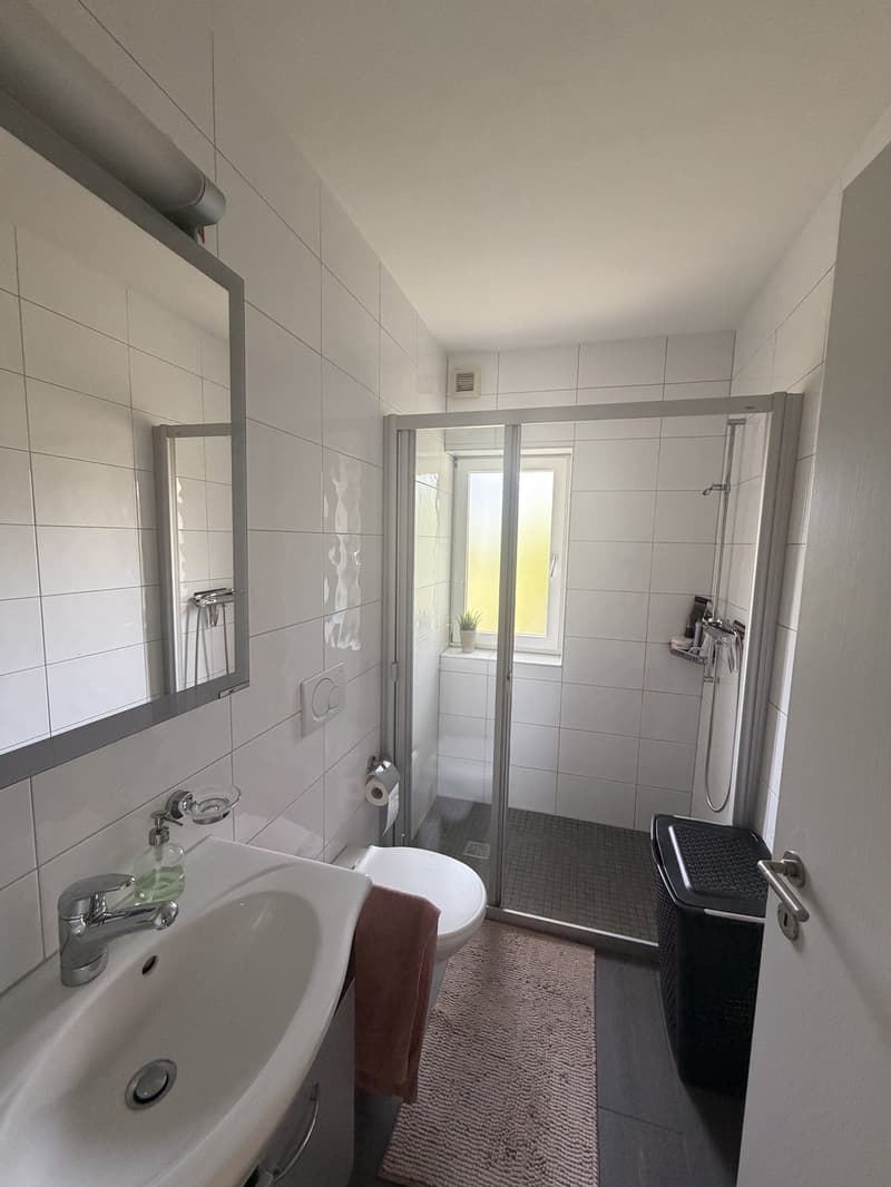 Wunderschöne zentrale 2.5 Zimmer Gartenwohnung in Luzern (5)