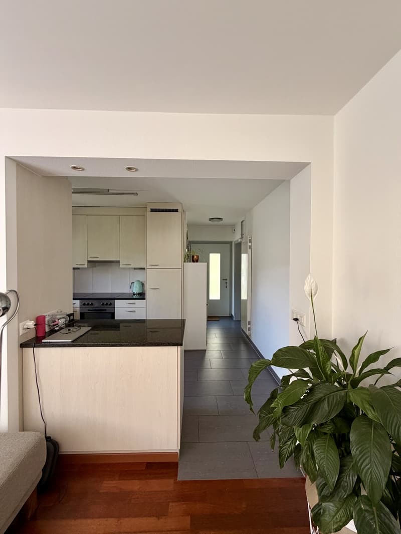 Wunderschöne zentrale 2.5 Zimmer Gartenwohnung in Luzern (4)