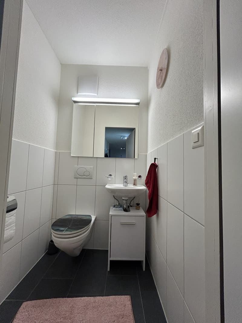 Helle 4.5 Zimmerwohnung (6)