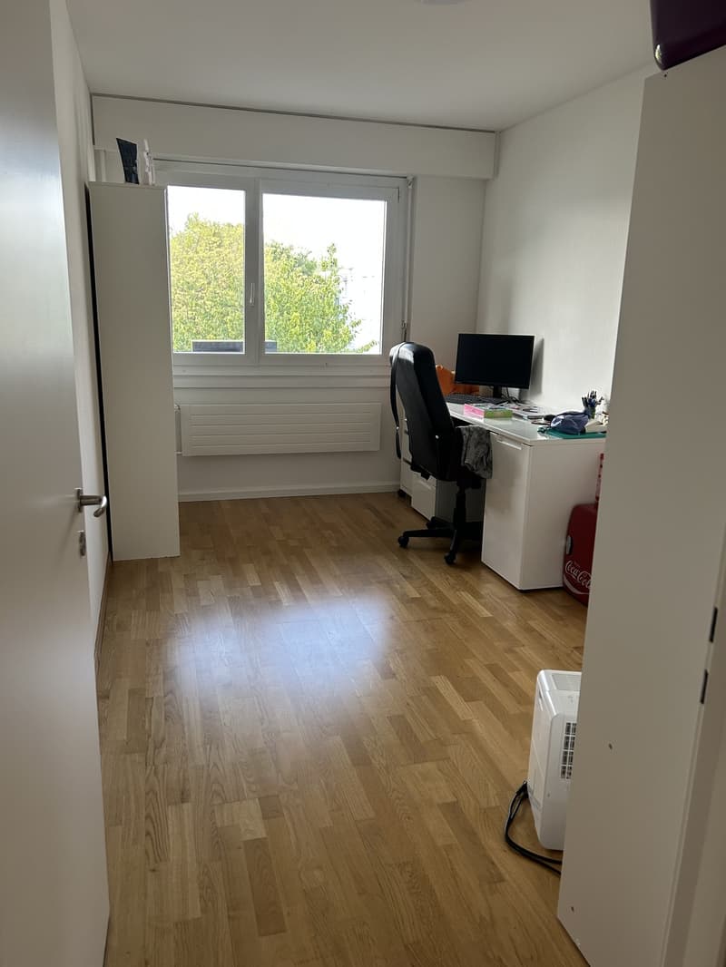 Helle 4.5 Zimmerwohnung (4)