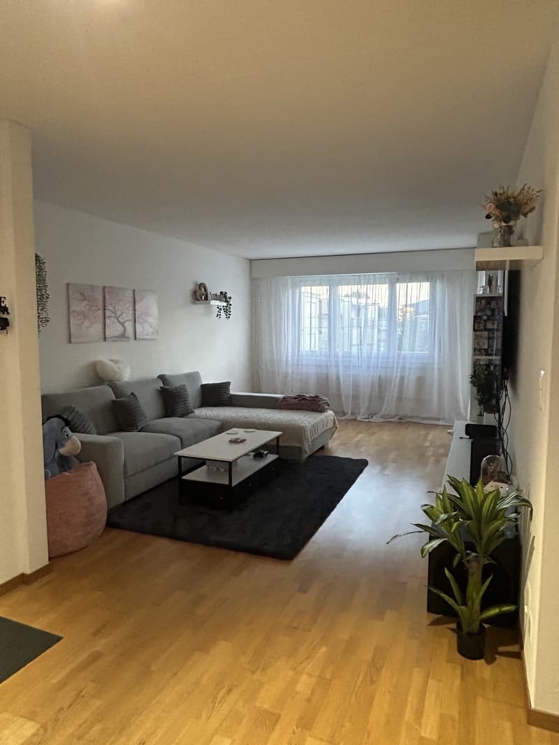 Helle 4.5 Zimmerwohnung (7)