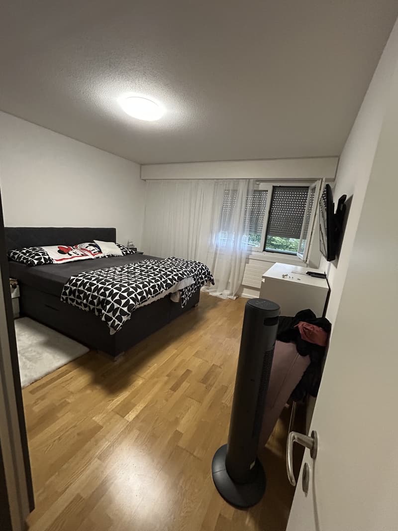 Helle 4.5 Zimmerwohnung (8)