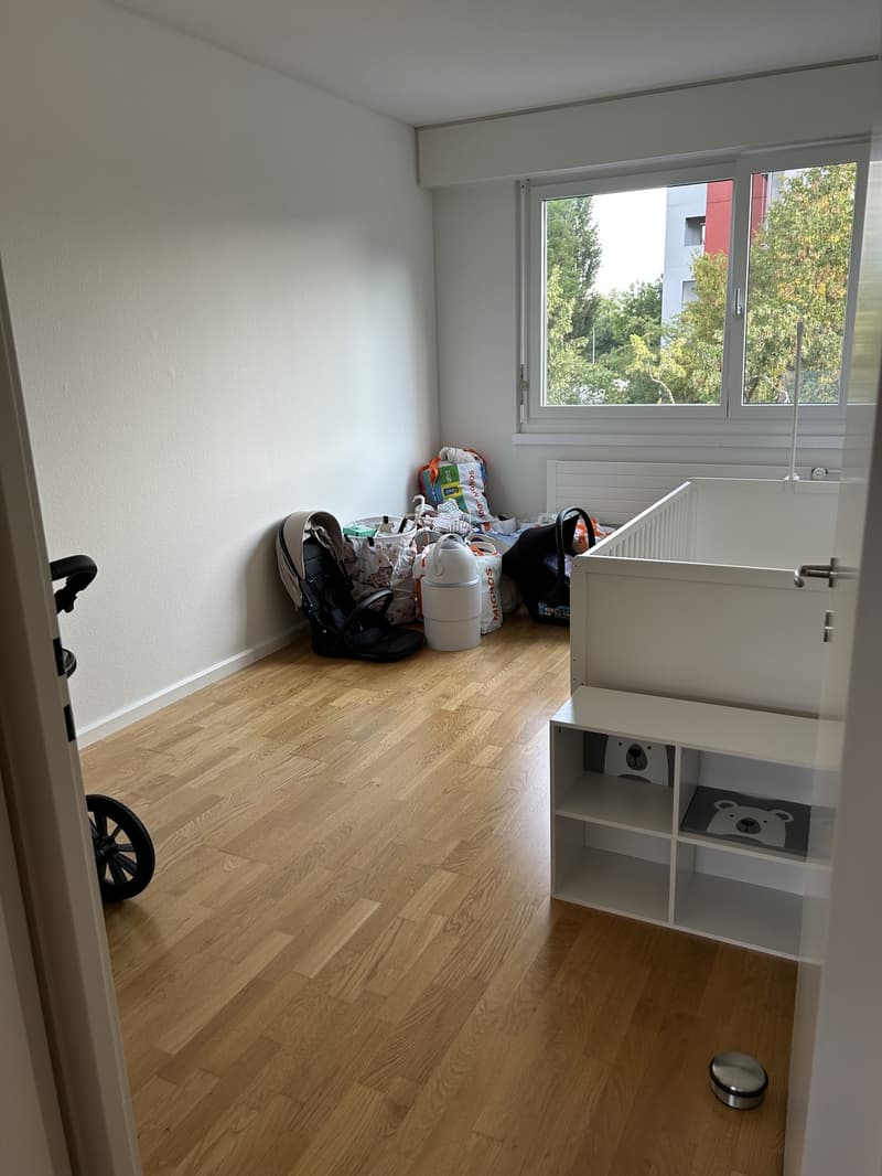 Helle 4.5 Zimmerwohnung (1)