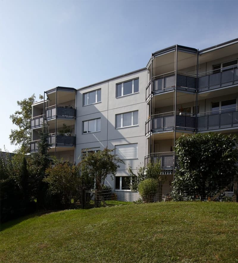 Helle 4.5 Zimmerwohnung (2)