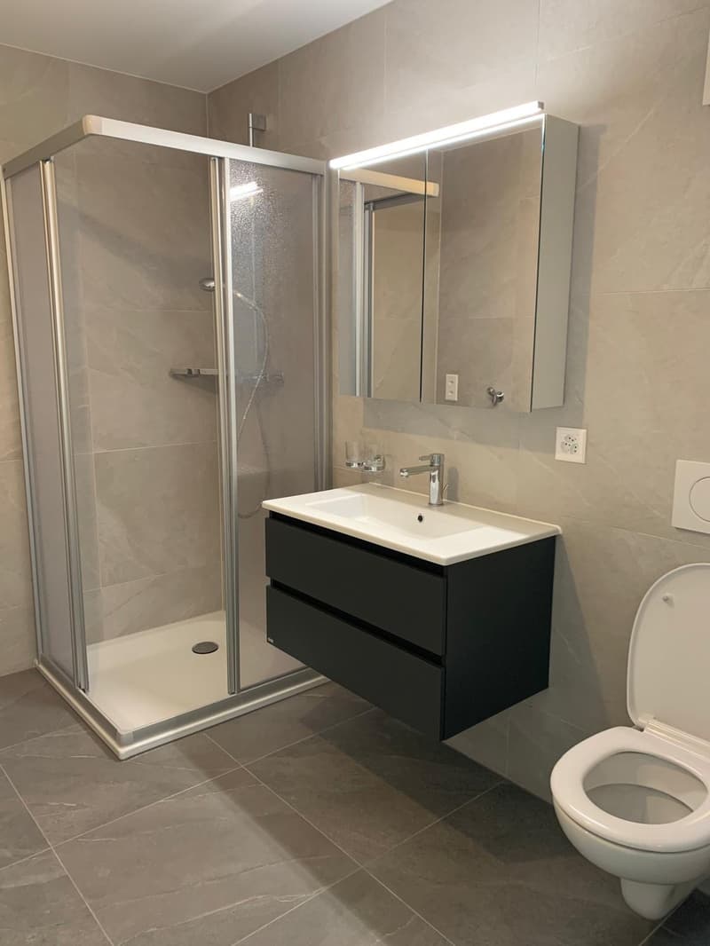 Appartement neuf de 2,5 pièces à Dompierre - reprise de bail (10)