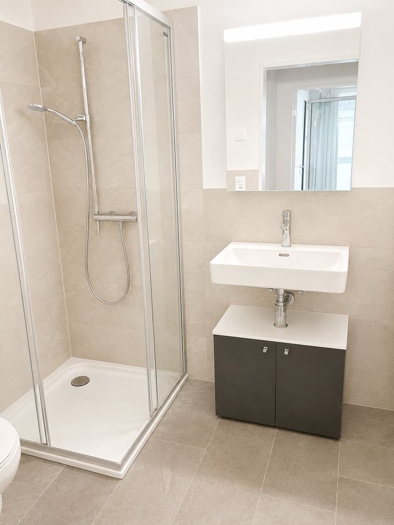 schöne helle 4.5 Maisonette Dachwohnung (5)