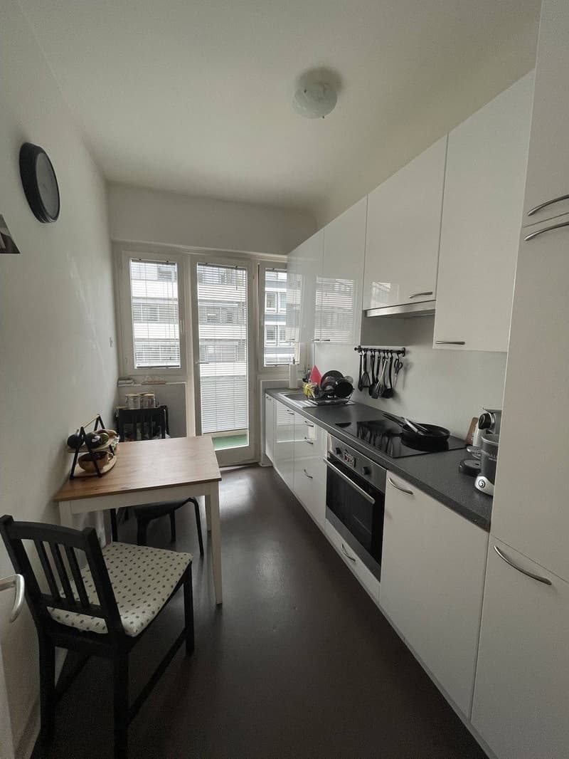 Schöne 2.5 Zimmer Wohnung im Herzen von Zürich (7)
