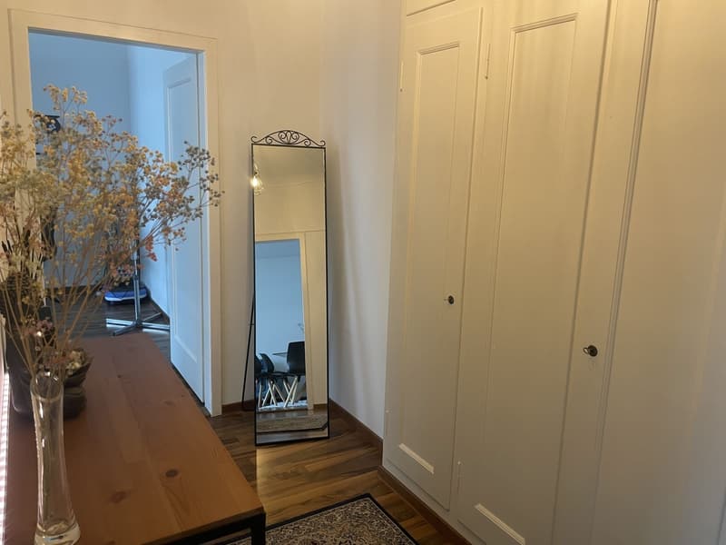 Schöne 2.5 Zimmer Wohnung im Herzen von Zürich (5)