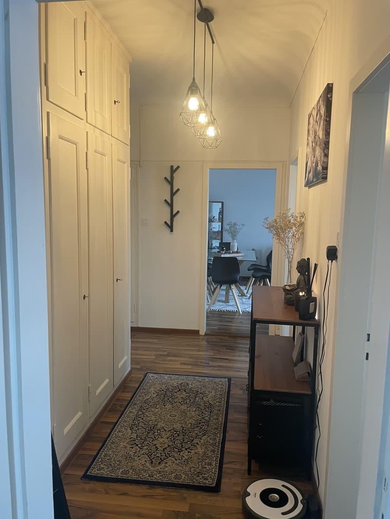 Schöne 2.5 Zimmer Wohnung im Herzen von Zürich (6)