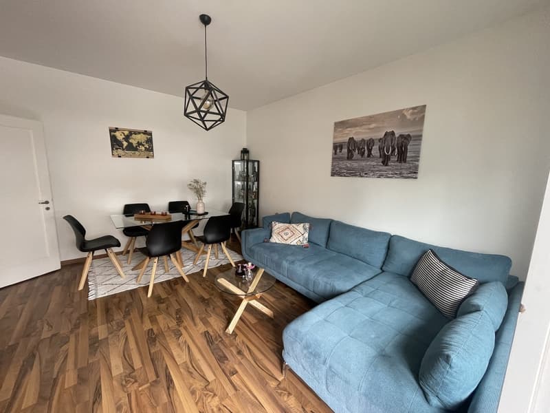 Schöne 2.5 Zimmer Wohnung im Herzen von Zürich (2)