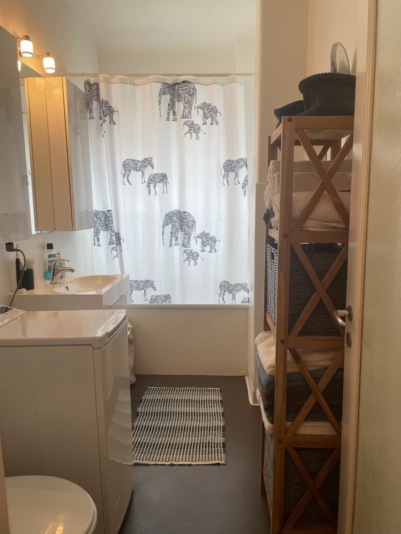 Schöne 2.5 Zimmer Wohnung im Herzen von Zürich (9)