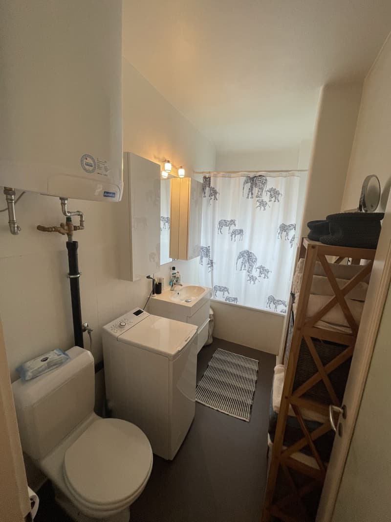 Schöne 2.5 Zimmer Wohnung im Herzen von Zürich (10)