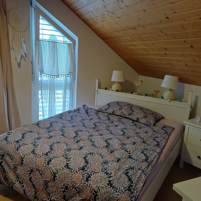 Helle 2 1/2-Zi.-Dachwohnung mit 3 Reduits & 2 Kellerabteilen-Top Lage! (9)