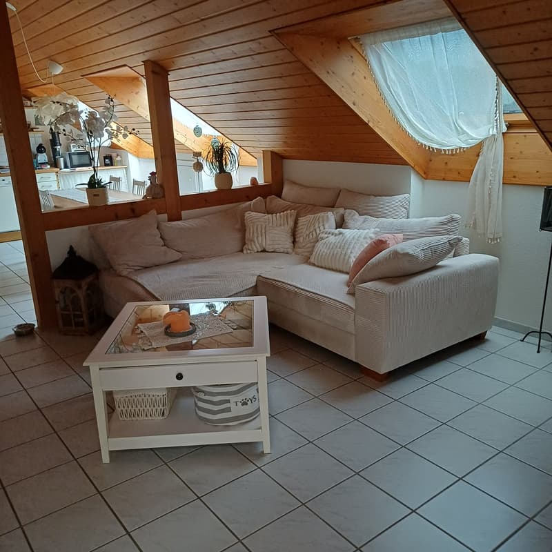 Helle 2 1/2-Zi.-Dachwohnung mit 3 Reduits & 2 Kellerabteilen-Top Lage! (1)