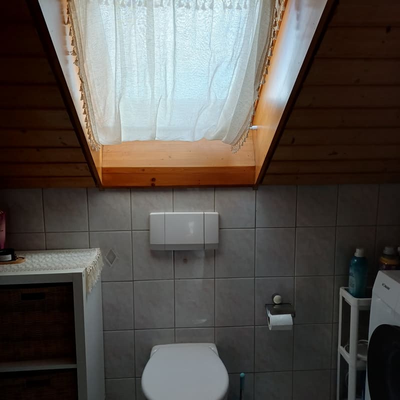 Helle 2 1/2-Zi.-Dachwohnung mit 3 Reduits & 2 Kellerabteilen-Top Lage! (2)