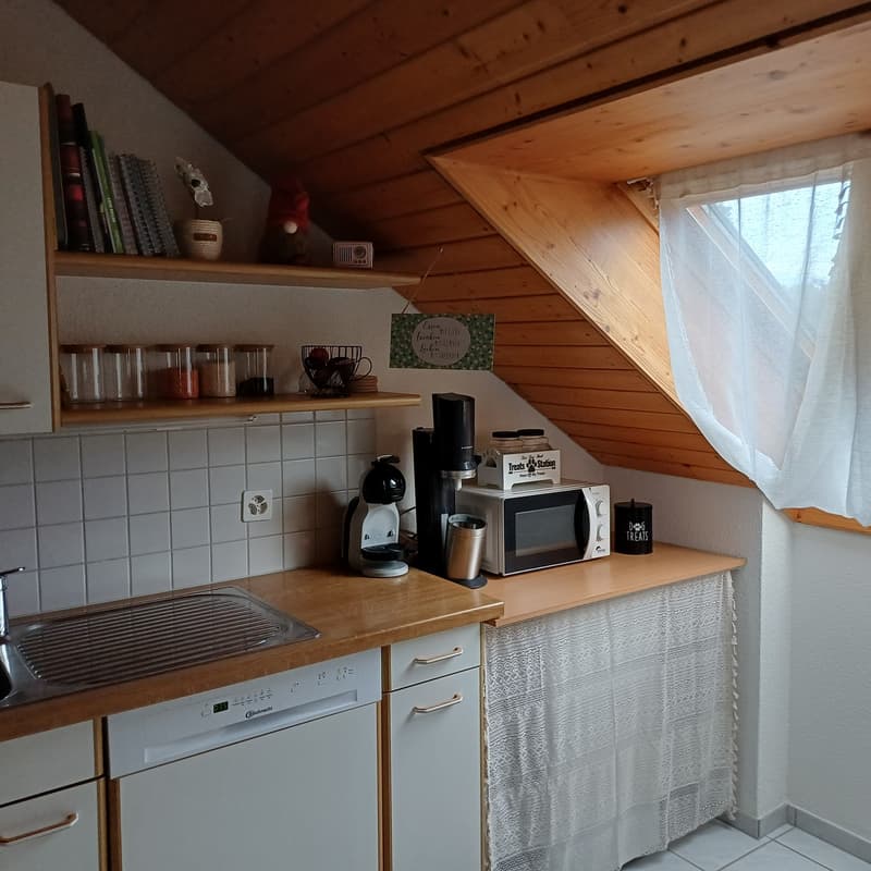 Helle 2 1/2-Zi.-Dachwohnung mit 3 Reduits & 2 Kellerabteilen-Top Lage! (8)