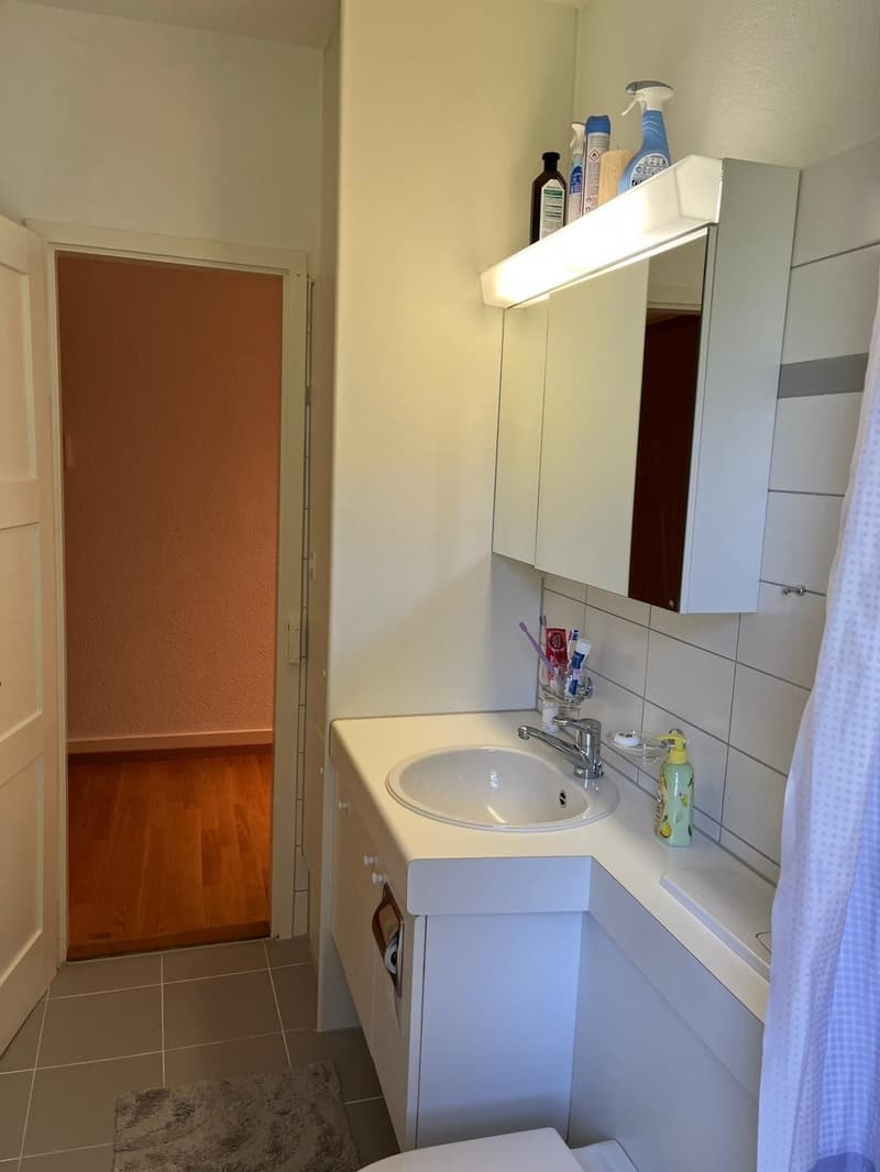 Zürich 8057 sehr Central WG-Zimmer In Bucheggplatz, Milchbuck, auch für paare (4)
