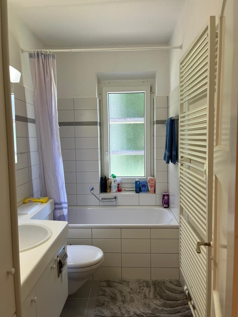 Zürich 8057 sehr Central WG-Zimmer In Bucheggplatz, Milchbuck, auch für paare (3)