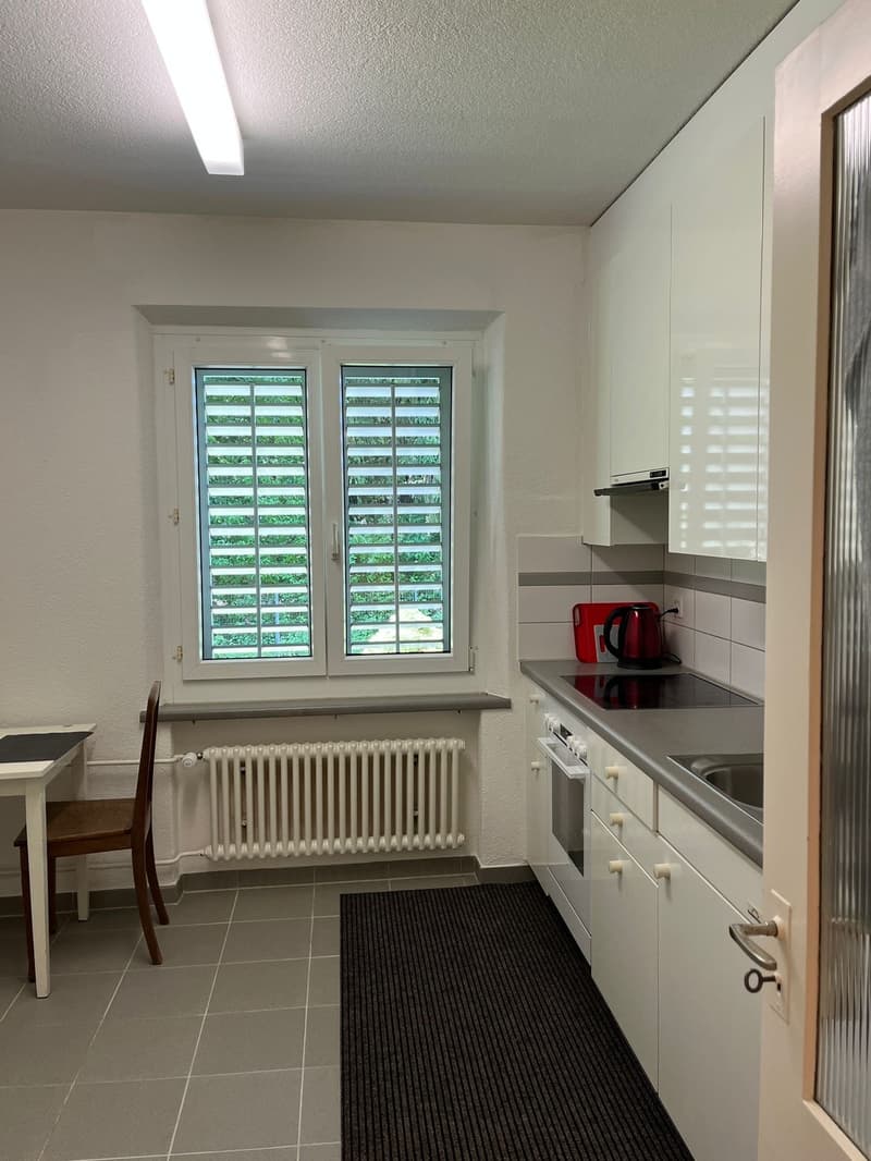 Zürich 8057 sehr Central WG-Zimmer In Bucheggplatz, Milchbuck, auch für paare (7)