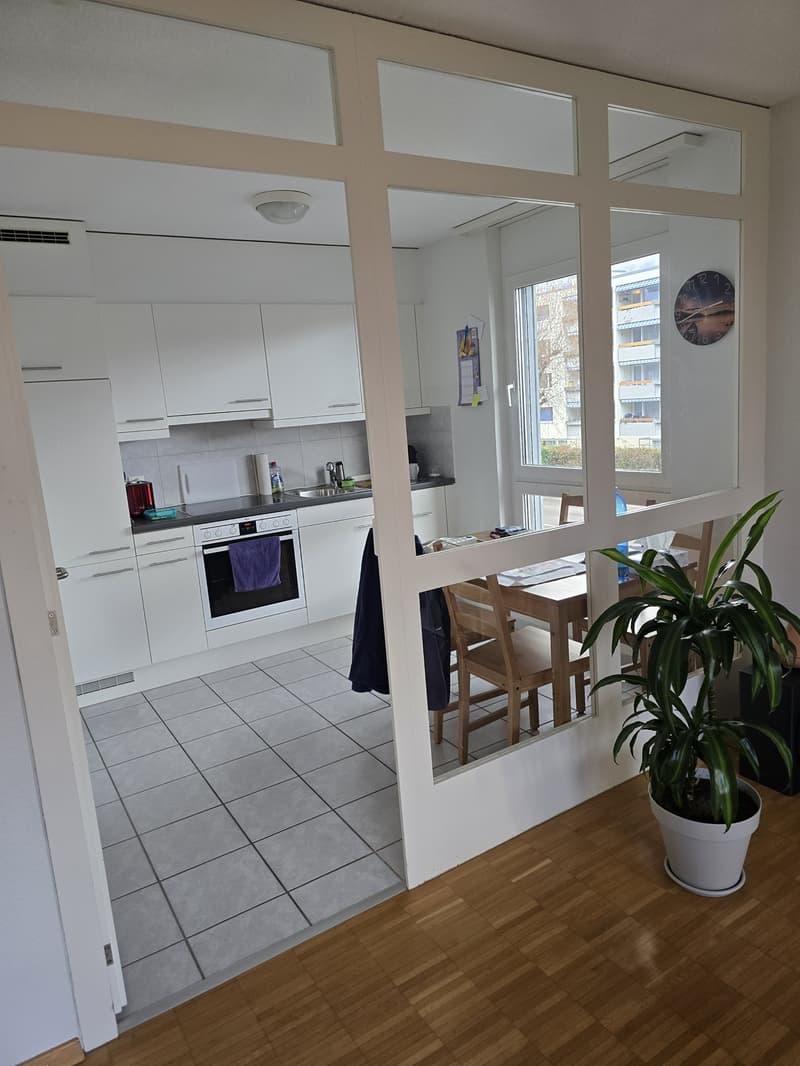 Suche Mitbewohnerin/er für schöne 3 Zi.Wohnung. Solothurn West (3)