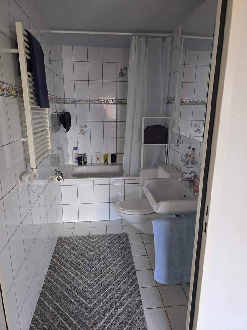 Suche Mitbewohnerin/er für schöne 3 Zi.Wohnung. Solothurn West (4)