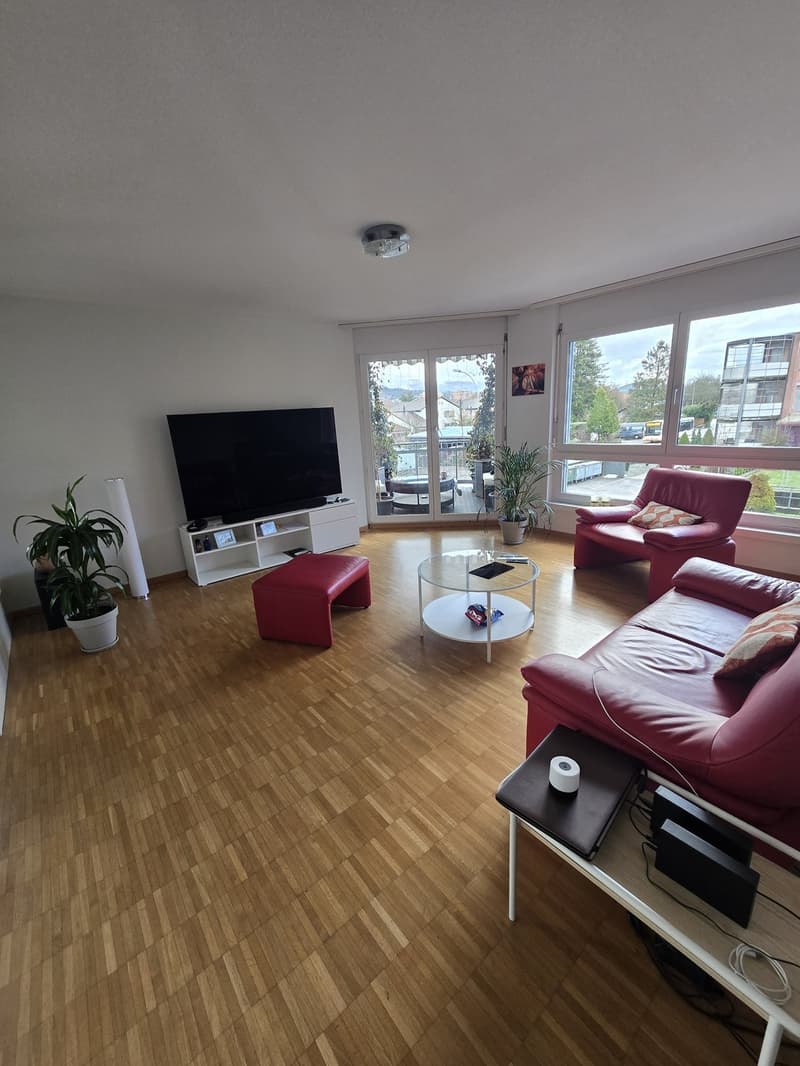 Suche Mitbewohnerin/er für schöne 3 Zi.Wohnung. Solothurn West (1)