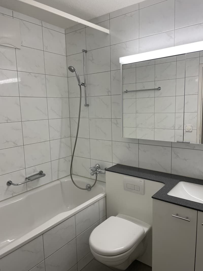 Permanent Sublease agreement - available now. Parking option (included in the price) (12)
