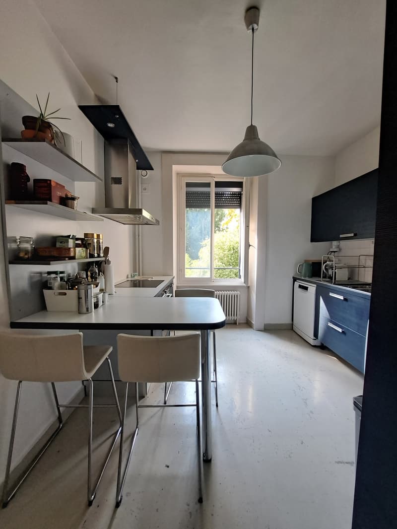Appartement 4 pièces (5)