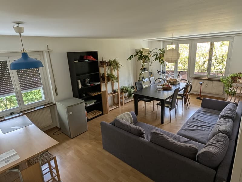 Colocation à Bienne (6)