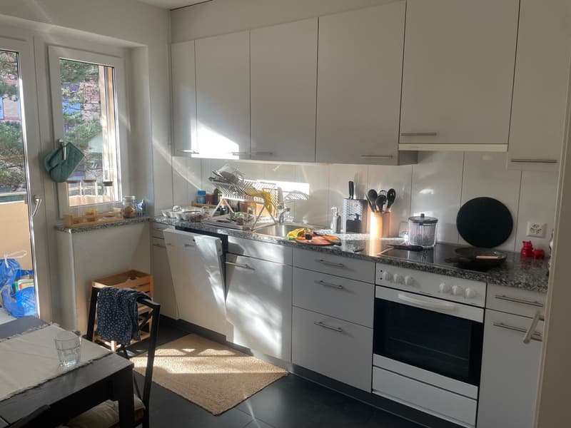 Furnished 3 Room Apartment for Sublet in Basel (Rosental)  Available from 1 November 2026 (2)