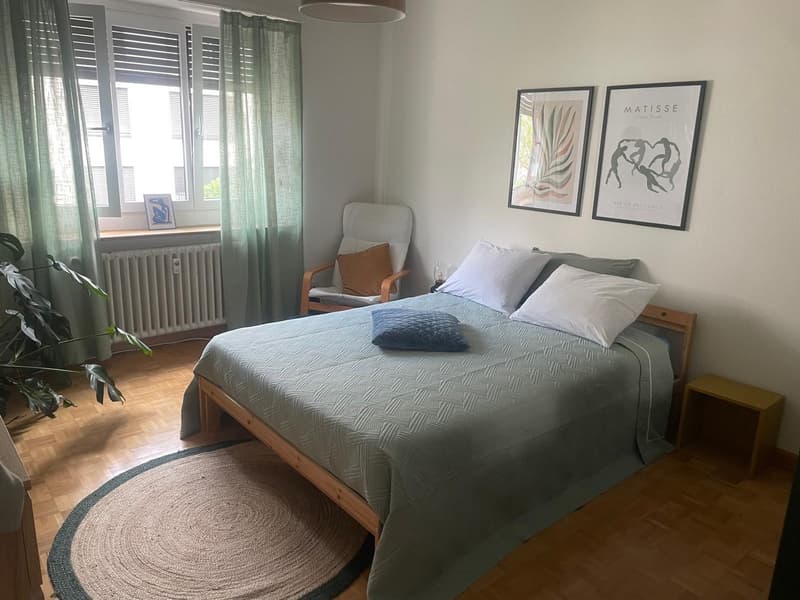 Furnished 3 Room Apartment for Sublet in Basel (Rosental)  Available from 1 November 2026 (3)
