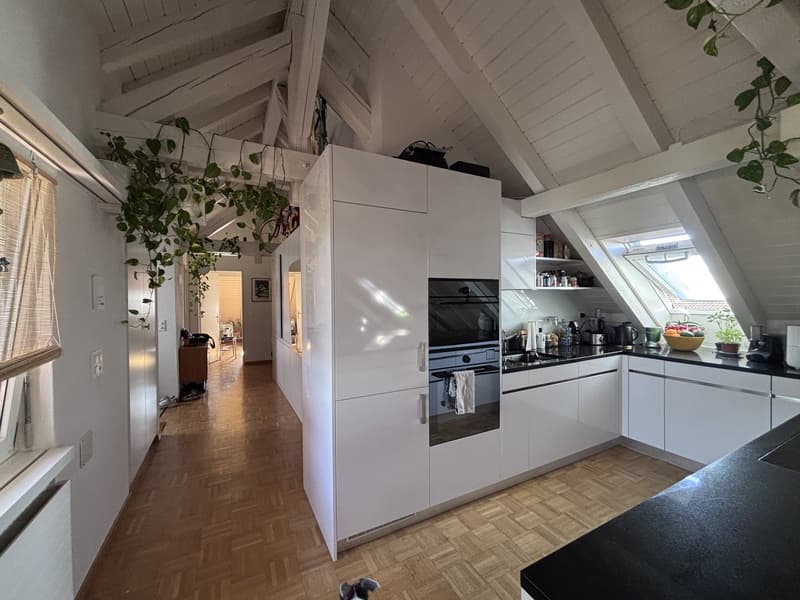 TEMPORÄR: Moderne, voll ausgestattete 3.5-Zimmer-Wohnung mit grosser Terrasse in Zürich Wiedikon (befristet) (3)
