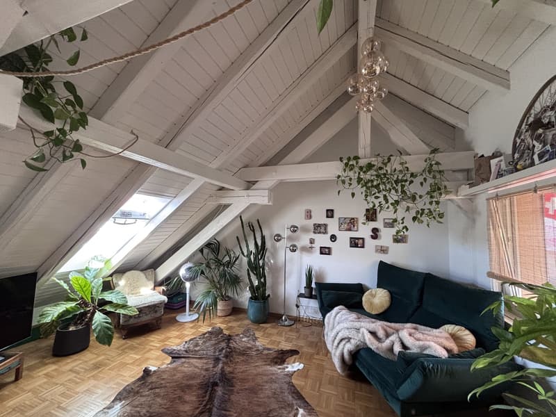 TEMPORÄR: Moderne, voll ausgestattete 3.5-Zimmer-Wohnung mit grosser Terrasse in Zürich Wiedikon (befristet) (2)