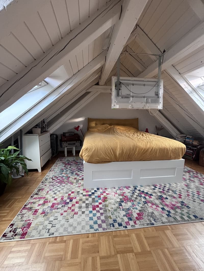 TEMPORÄR: Moderne, voll ausgestattete 3.5-Zimmer-Wohnung mit grosser Terrasse in Zürich Wiedikon (befristet) (12)