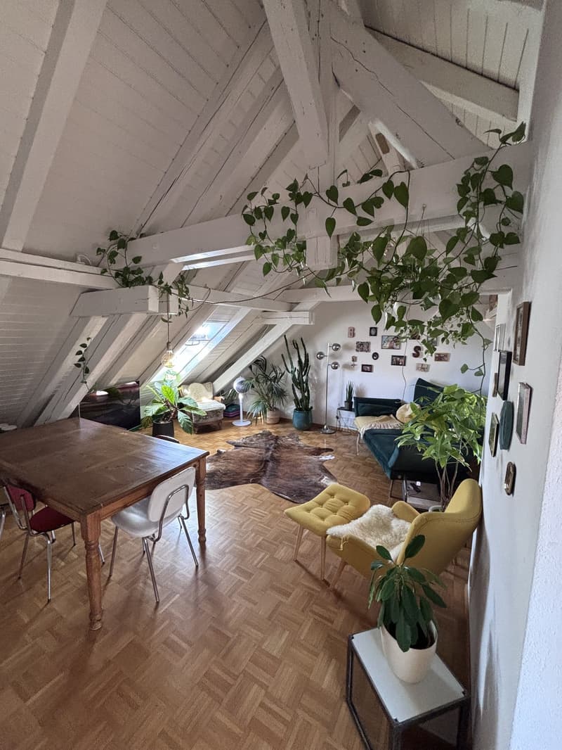 TEMPORÄR: Moderne, voll ausgestattete 3.5-Zimmer-Wohnung mit grosser Terrasse in Zürich Wiedikon (befristet) (4)