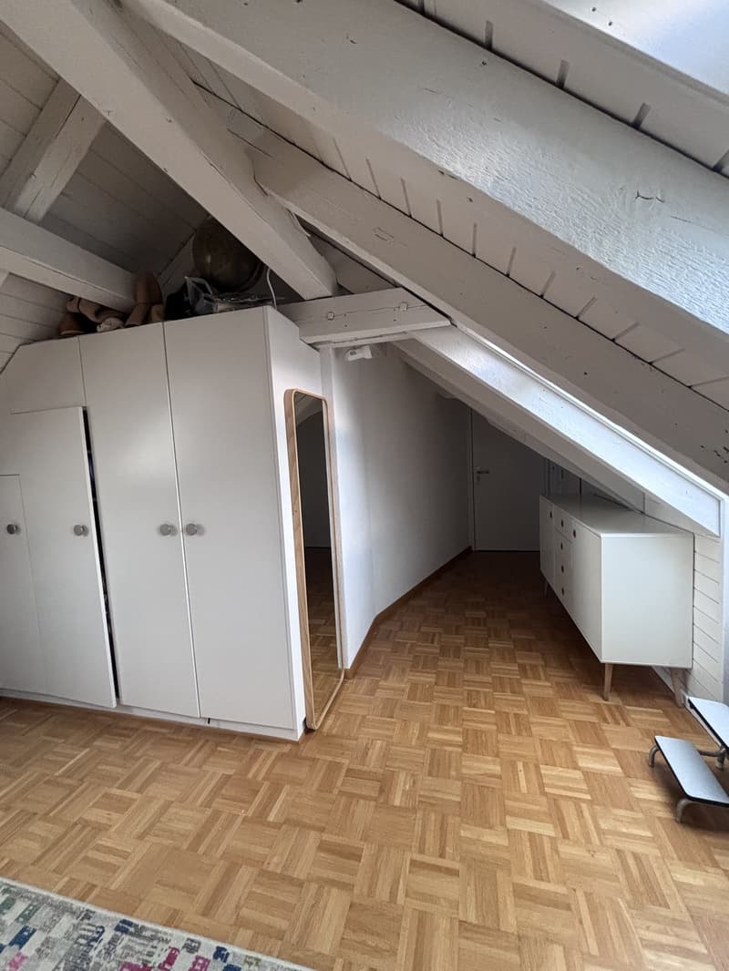 TEMPORÄR: Moderne, voll ausgestattete 3.5-Zimmer-Wohnung mit grosser Terrasse in Zürich Wiedikon (befristet) (13)