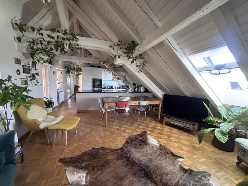 TEMPORÄR: Moderne, voll ausgestattete 3.5-Zimmer-Wohnung mit grosser Terrasse in Zürich Wiedikon (befristet) (5)