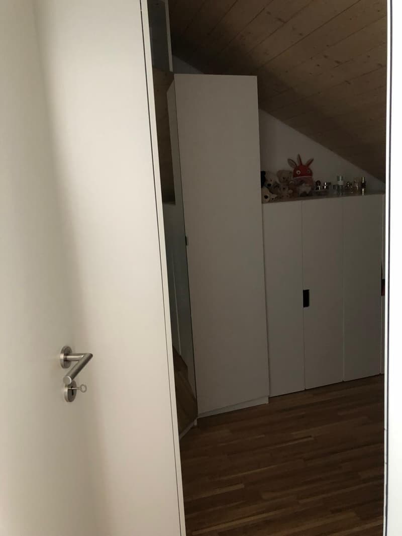 Charmante 2.5-Zimmer-Dachwohnung mit Weitblick und viel Charakter (9)