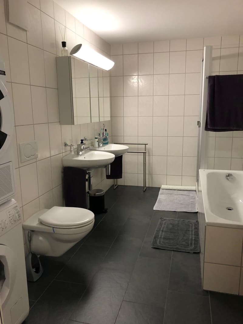 Charmante 2.5-Zimmer-Dachwohnung mit Weitblick und viel Charakter (10)